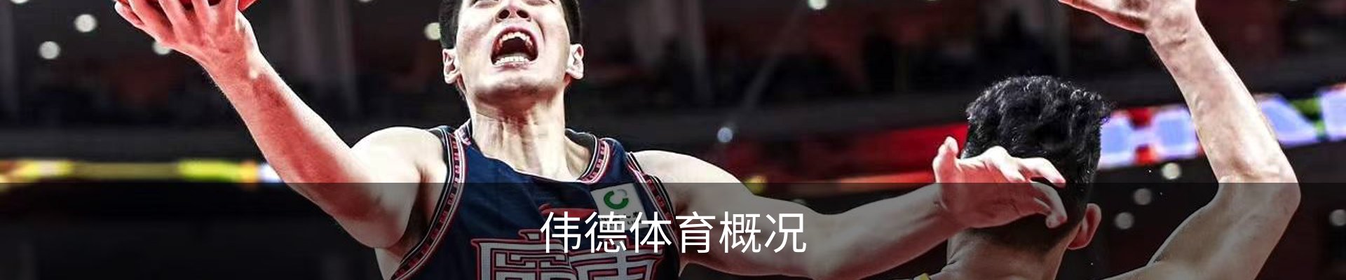 内页banner
